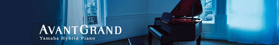 AvantGrand Avant Grand