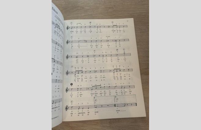 Used Songs Of Love Chord Organ Book REF 0046 - Image 3