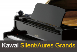 Kawai Silent/Aures Grands