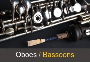 https://www.allegromusic.co.uk/shop/oboesbassoons/