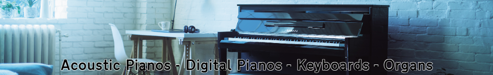 January Sale 2024 - Piano Image