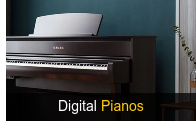 Digital Pianos